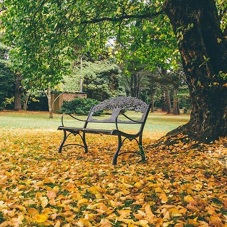 Federation Gardens & Possums Hideaway Βίλα Blackheath Εξωτερικό φωτογραφία