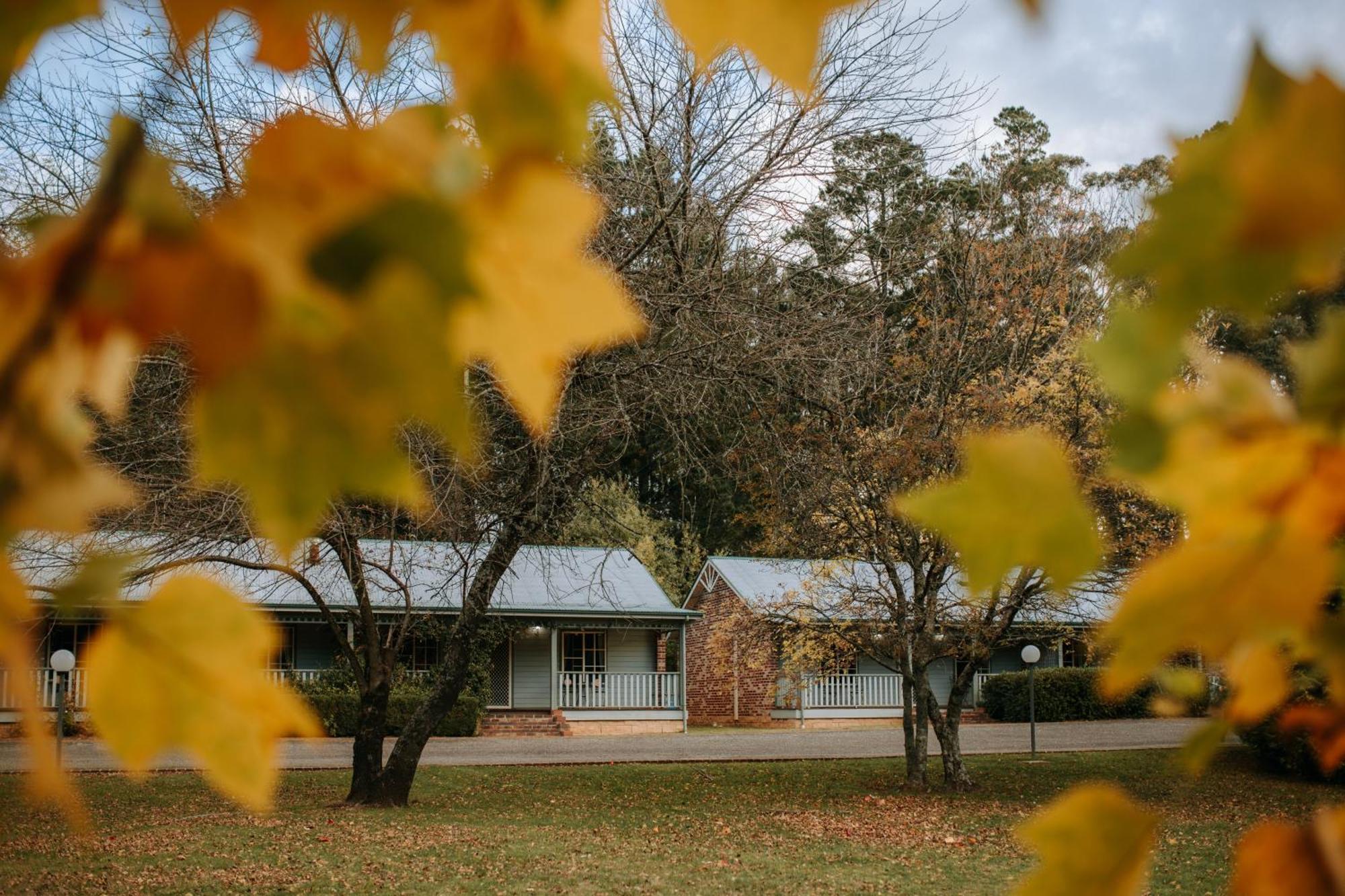 Federation Gardens & Possums Hideaway Βίλα Blackheath Εξωτερικό φωτογραφία