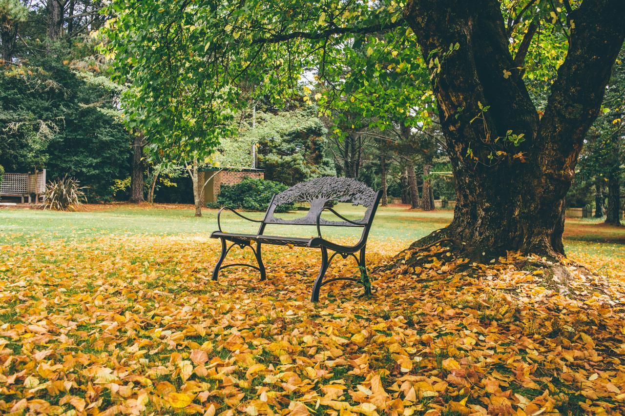 Federation Gardens & Possums Hideaway Βίλα Blackheath Εξωτερικό φωτογραφία