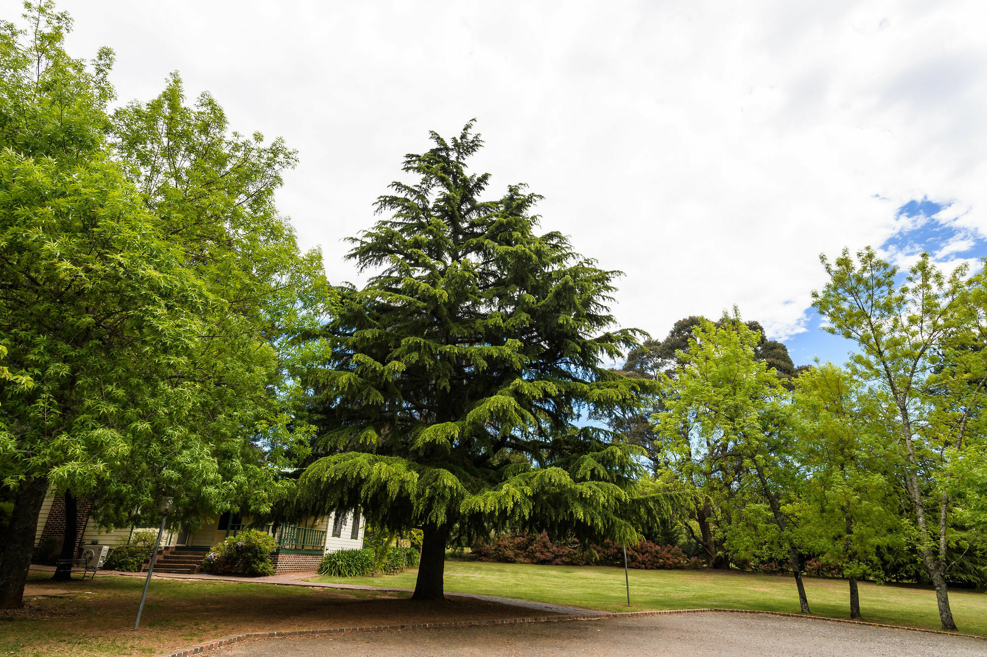 Federation Gardens & Possums Hideaway Βίλα Blackheath Εξωτερικό φωτογραφία